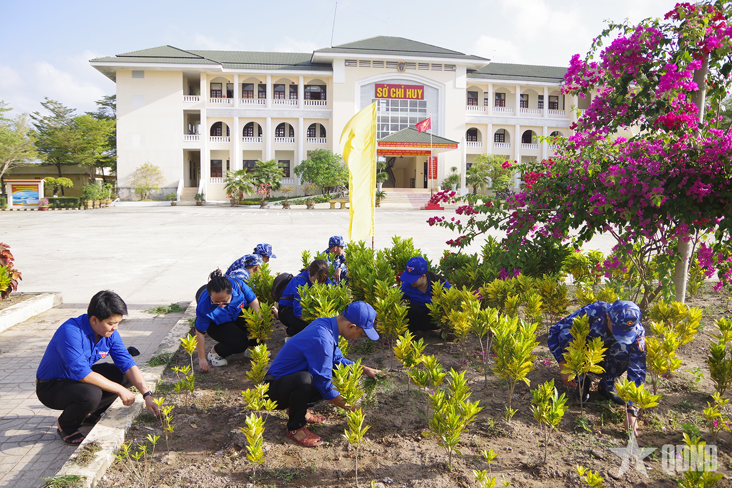 Ngày thứ Bảy tình nguyện-ngày Chủ nhật xanh ở Hải đoàn 42 